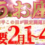 魚座さん見て！お金は使わせません😲なのにイイ気持ちにさせます！🤤✨【2月前半運勢】♾️タロット占い♾️
