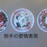 相手の愛情表現🔮トートタロット
