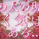 【恋愛】あの人の現状・動きはある!?😣♥️⚡️💦タロット🔮リーディング