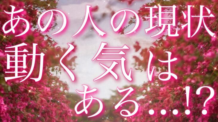 【恋愛】あの人の現状・動きはある!?😣♥️⚡️💦タロット🔮リーディング