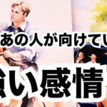 【ド直球に全て伝える💥】あの人があなたに向ける強い感情です。個人鑑定級に当たる占い｜恋愛タロット｜ルノルマン｜オラクルカード細密リーディング