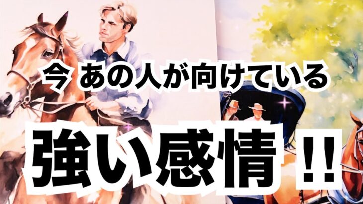 【ド直球に全て伝える💥】あの人があなたに向ける強い感情です。個人鑑定級に当たる占い｜恋愛タロット｜ルノルマン｜オラクルカード細密リーディング