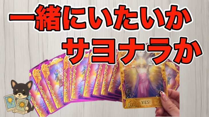 【ハッキリしたい方向け🚨】アゲ鑑定一切ナシでお答えします‼️