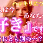 【🦋ハッキリにつき熱弁鑑定💞 】あの人は今、あなたのこと『好き』ですか？それとも別の…？🦋🦄