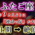 ふたご座《81か月ぶり》に「運命の掟」が変わる【停止期→絶頂期の双子座】