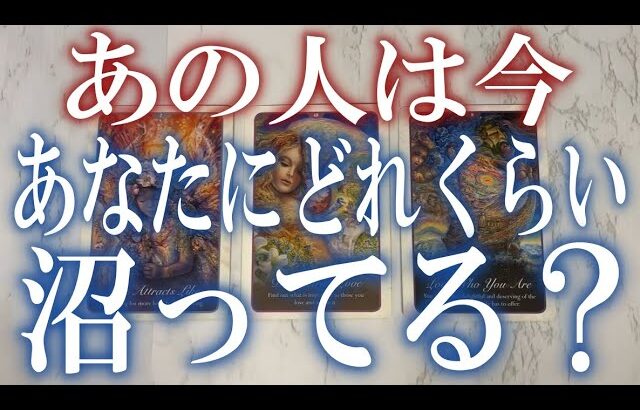 あの人は今あなたにどれくらい沼ってる？【タロット占い💎オラクルカード】個人鑑定級片思い・復縁・複雑恋愛・音信不通・疎遠・曖昧な関係を深堀りリーディング！
