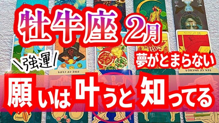 [強運]牡牛座♉️2月運勢｜呪縛から解放されて夢の世界に飛び出す｜タロットリーディング｜全体運・仕事運・人間関係