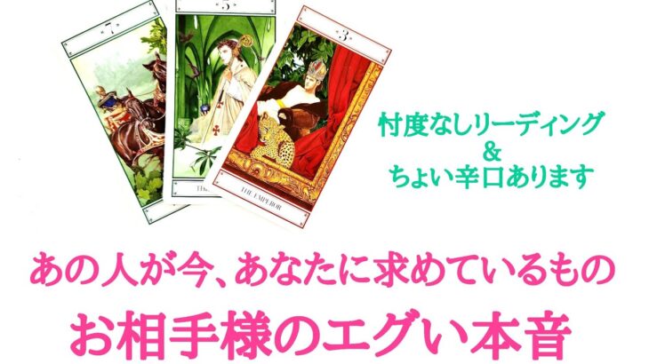 🌹恋愛タロット占い🌹ちょい辛あります❗愛？身体？癒し？お金？特になしetc..あの人が今、あなたに求めているもの お相手様のあなたへの気持ちと本音 片思い カップル  曖昧複雑 年の差 復縁 遠距離