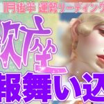 『1月31日までに見て‼️』🍀蠍座♏️“思いが報われる兆し” 肩の力を抜いた時、朗報が舞い込む✨【2026年1月後半タロットリーディング】