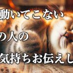 【🥹超感動🎊奇跡のような大きな変化が起こる🌈】全然動いてこないあの人の今の気持ちをお伝えします‼️