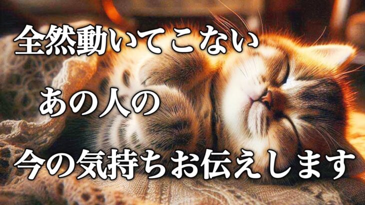 【🥹超感動🎊奇跡のような大きな変化が起こる🌈】全然動いてこないあの人の今の気持ちをお伝えします‼️