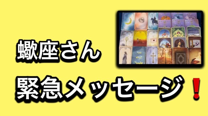 【最高の1月を迎えた✨蠍座さんへのメッセージ💌】⚡️😱全体運⭐️仕事運⭐️恋愛運🩷人間関係🩷ガッツリ読み解きました🃏