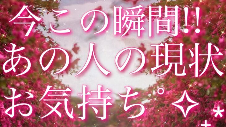 【恋愛】今この瞬間!!あの人の現状・お気持ち😵❤️✴︎タロット🔮リーディング