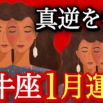 ♉️牡牛座♉️2026年1月の運勢🍀絶対見て欲しい‼️超神回‼️個人鑑定級・超深掘リーデイング🔔🔔🔔✨