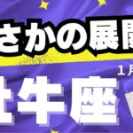 【牡牛座♉️1月後半】これは想定外すぎ！〜正直、濃いです（タロットカードリーディング）