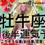 牡牛座♉︎【1月後半運気予報】大切なものが明確になる💖🤲🏻本当はどうしたい⁇あなたの本心を優先して😌✨目の前の世界がどんどん変化する🌎🦋