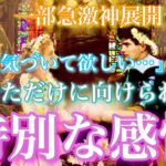 【🦋一部急激神展開💞 】「気づいてほしい…」と、あなただけに向けられた“特別な感情”🦋🦄