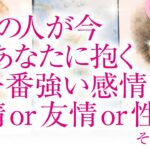 🔮恋愛タロット🌈あの人が今、あなたに抱く一番強い感情は、愛情 or 友情 or 性欲❔🌈お相手の隠れた本心が明らかに⁉️深掘りリーディング❗複雑恋愛・三角関係・音信不通・疎遠・片思い・曖昧な関係等…💗