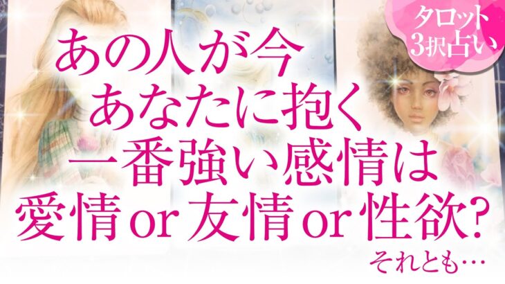🔮恋愛タロット🌈あの人が今、あなたに抱く一番強い感情は、愛情 or 友情 or 性欲❔🌈お相手の隠れた本心が明らかに⁉️深掘りリーディング❗複雑恋愛・三角関係・音信不通・疎遠・片思い・曖昧な関係等…💗