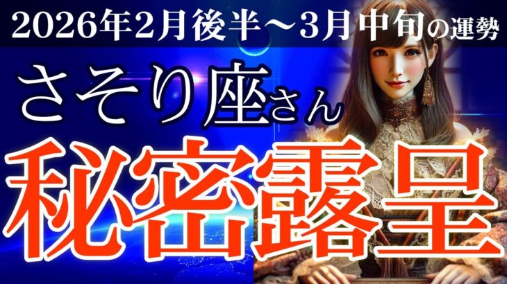 【蠍座】✨2026年2月後半~3月中旬 さそり座の運勢