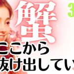 蟹座♋2026年3月☆ここから抜け出していく！