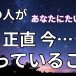 【ガチ🔥】あの人があなたに対して正直おもっていること。恋愛タロット占い｜ルノルマン｜オラクルカード個人鑑定級リーディング