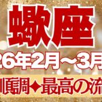 【さそり座】2月~3月前半運勢　とにかく観てほしい。ついに運命が動き出す。なにも心配いらないよ！！最高の流れに乗るからねー！！！【蠍座 ２月】【蠍座 ３月】【蠍座2026年】タロット