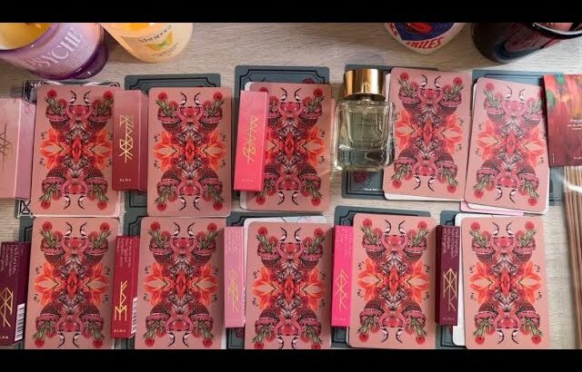 【10択リーディング】水瓶座新月&日食&旧正月パワー🌚✨その願いに最強メッセージ&アドバイスSP