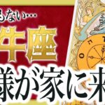 『2月19日までに見て！』まじか…牡牛座のこれからを占ったら、全体的にやばすぎました Akari先生