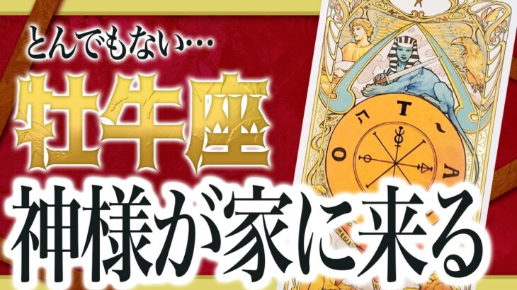 『2月19日までに見て！』まじか…牡牛座のこれからを占ったら、全体的にやばすぎました Akari先生