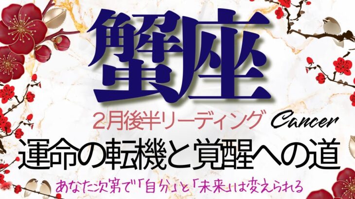 蟹座♋️2月後半💫【強運期】今は追い風の真ん中❗️あなたが動けば現実が応える❗️願望成就と奇跡を伝えるカード達✨