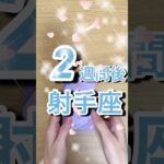 2週間後射手座運勢 #shorts #星座占い #射手座