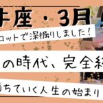 【牡牛座】3月🎎迷いが消える！我慢はもう終わり！あなたの人生の喜びを手に入れる！