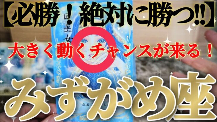 水瓶座さんはこれから大きく動くよ！誰にも遠慮はいらないよ！😲✨【2月中旬運勢】♾️タロット占い♾️