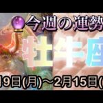 牡牛座♉️さん⭐️2月9日(月)〜2月15日(日)🔮安心安定と自信がつく時‼️恋愛や人間関係が最高🌈🌈