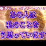 【今この瞬間】【見た時がタイミング】恋愛タロットリーディング🧚🏻‍♀️個人鑑定級占い【甘口ナシ】