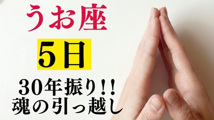 【ねぇ、うお座さん】あなたはどのうお座？感覚派・現実派・覚醒派…同じうお座なのになぜこんなにも違うのか!