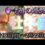 牡牛座♉️さん⭐️2月16日(月)〜2月22日(日)🔮チャンスの波がやって来る‼️お仕事や取り組みが最高🌈