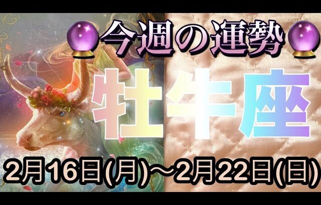 牡牛座♉️さん⭐️2月16日(月)〜2月22日(日)🔮チャンスの波がやって来る‼️お仕事や取り組みが最高🌈