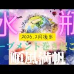 【2026.2月後半🎈】水瓶座さんの運勢♒️順風満帆✨💙✨ムーブメントを巻き起こす!!