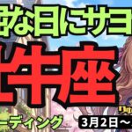 【牡牛座】♉️2026年3月2日の週♉️【好転】退屈な毎日は終了！新しい自分へ踏み出す最高の運気