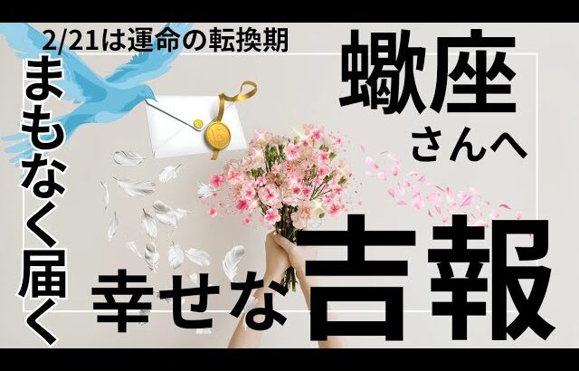 2月運命が動く🌟神展開のギフト🌈🎁蠍座さん受け取り準備OK⁉️タロット占い&オラクルカードリーディング