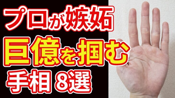 【手相占い】プロも2度見する巨億の富を掴む手相８選