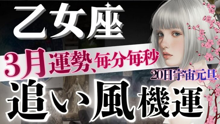 【乙女座】次元上昇！3月3日〜運気に新風🌪️人生レベルの「新鮮な旅路」いよいよ始まる🔑3.6.20日の追い風【星読みタロット】