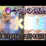 水瓶座♒️さん⭐️2月9日(月)〜2月15日(日)🔮新たにスタートを切る時‼️物事が動き出す🌈🌈