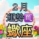 【蠍座】2月の運勢❤️神回！！ちょっとこれは最高すぎる😳マジカル神展開🌈蠍座🌕下弦の月の恩恵🙌スーパー豊かな収穫祭マンスリー　2026年　タロット占い