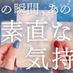 【最新💗本音】神展開が起きました。本当は今すぐあなたに伝えたい超リアルな気持ちを深掘り💐💓🔮【恋愛タロット】【あの人の気持ち】