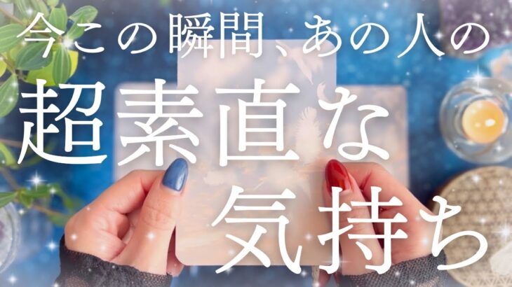 【最新💗本音】神展開が起きました。本当は今すぐあなたに伝えたい超リアルな気持ちを深掘り💐💓🔮【恋愛タロット】【あの人の気持ち】