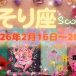 蠍座★2026/2/16～28★体調が良くなかった方も健康を取り戻して、今までの努力がとても良い形で実っていく！復活の時（ただし、人間関係は要注意⚡️嫉妬や誤解の火消しはお早めに）