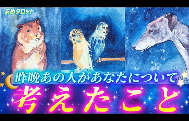 【感情高まる夜の💌】昨晩あの人はこの場所でこんな風にあなたのことを考えてたよ🌙あの人の気持ちと本音💓個人鑑定級タロット